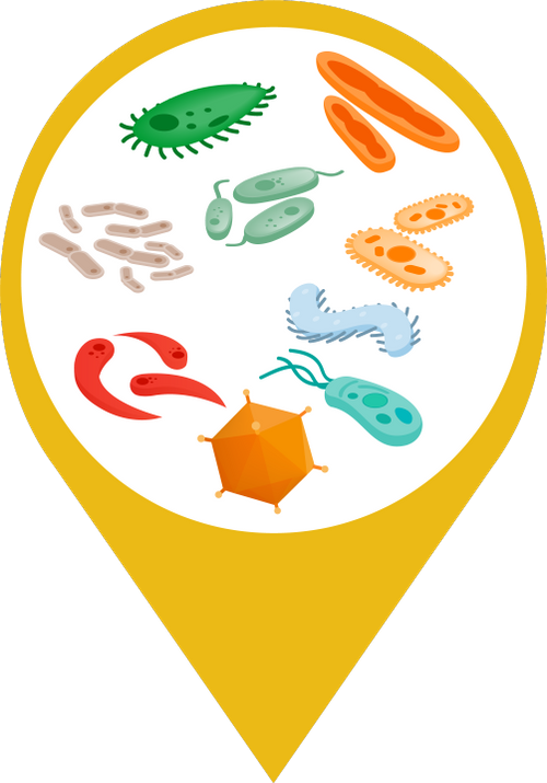 Icon showing various types of microorganisms