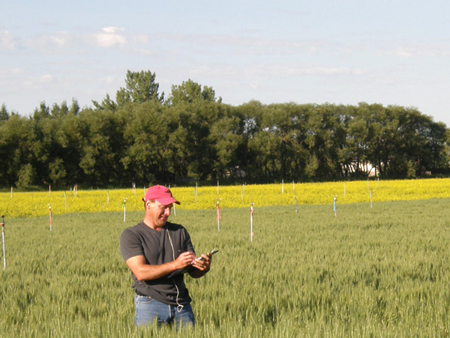 Assessment of Virtual Water Flows in Alberta