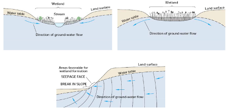 Groundwater Interaction with Wetlands