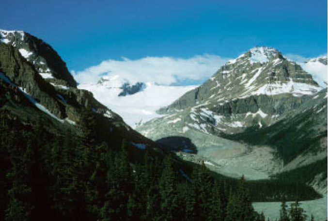 Peyto Glacier