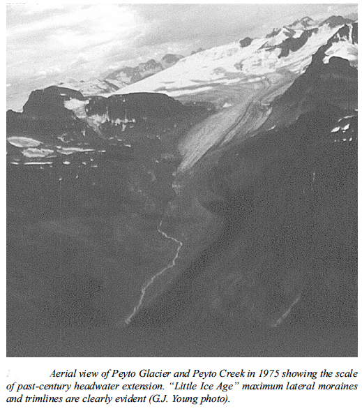 Aerial View of Peyto Glacier