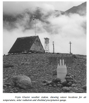 Peyto Glacier Weather Station
