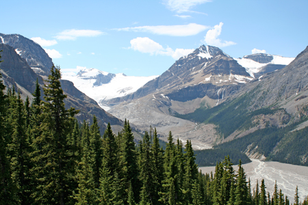 Peyto Glacier