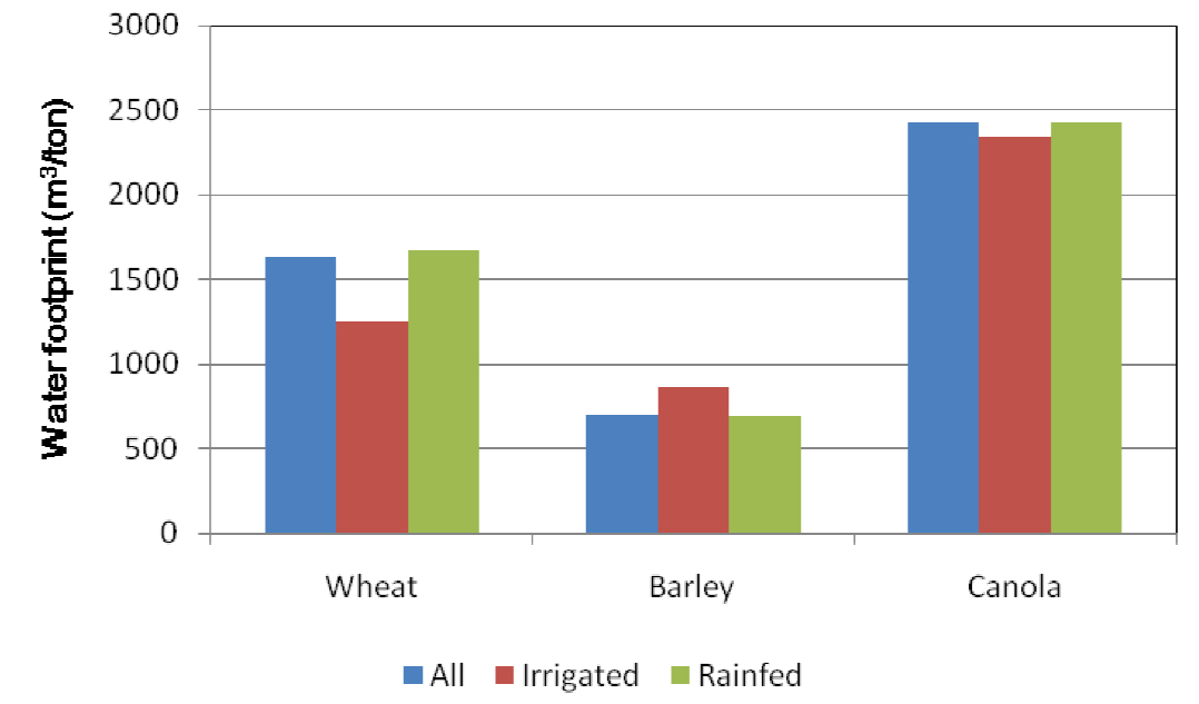Water footprint of wheat, barley, and canola