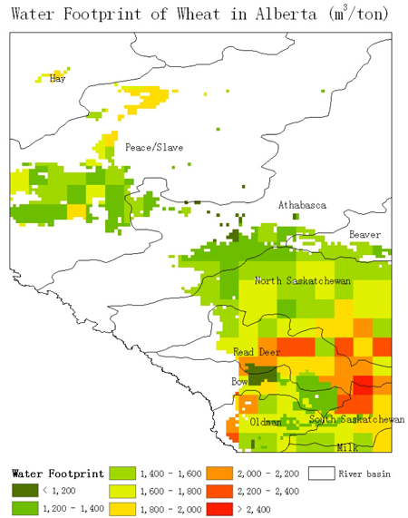 Water footprint of wheat in Alberta