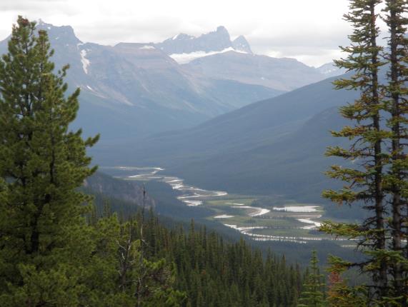 Whirlpool River and Athabasca Pass