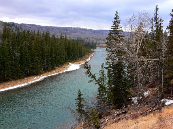 Bow River west of Cochrane