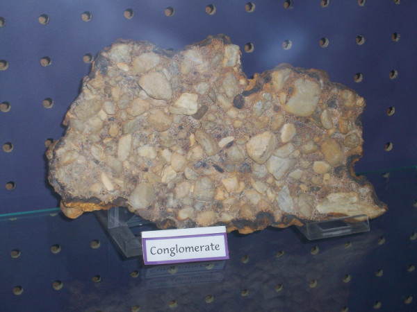 conglomerate