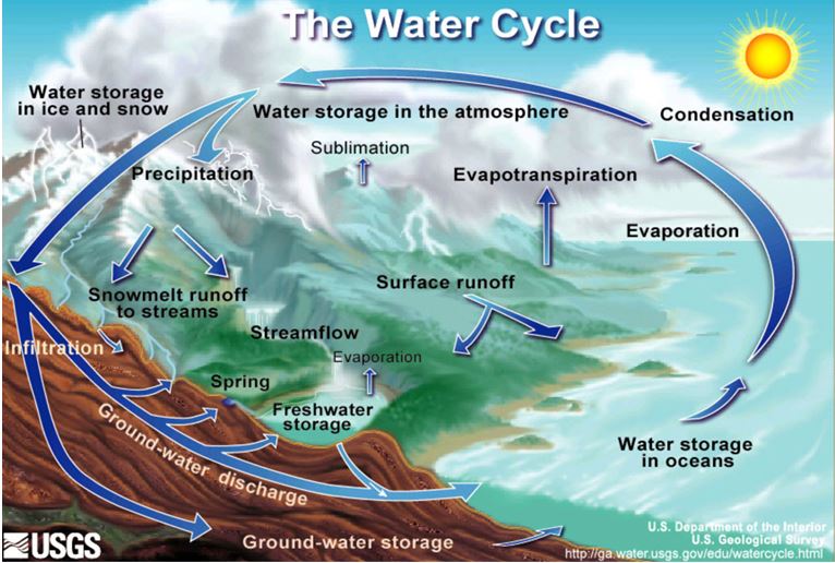 The water cycle