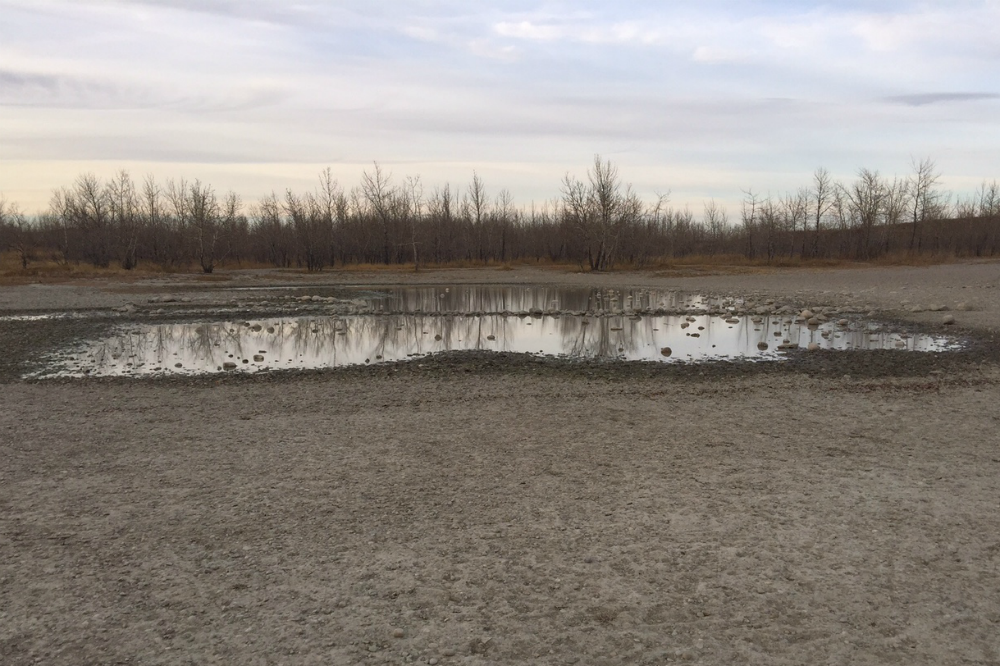 Alberta WaterPortal  Converging factors affecting the Bow River basin -  Alberta WaterPortal
