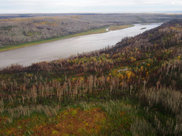 Athabasca River Valley Horse Fire