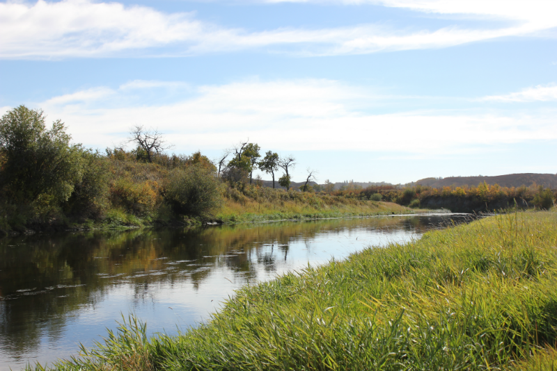 Picture of a water body with lush banks