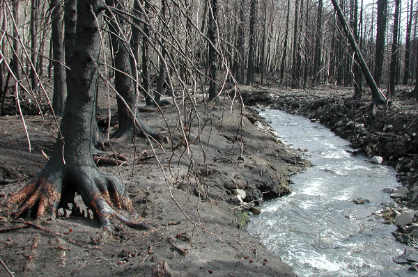 Lost Creek Fire 2003