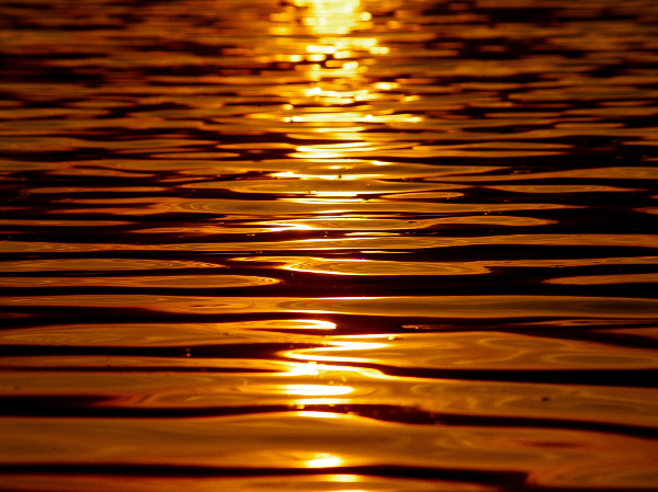 Water reflects gold at sunset