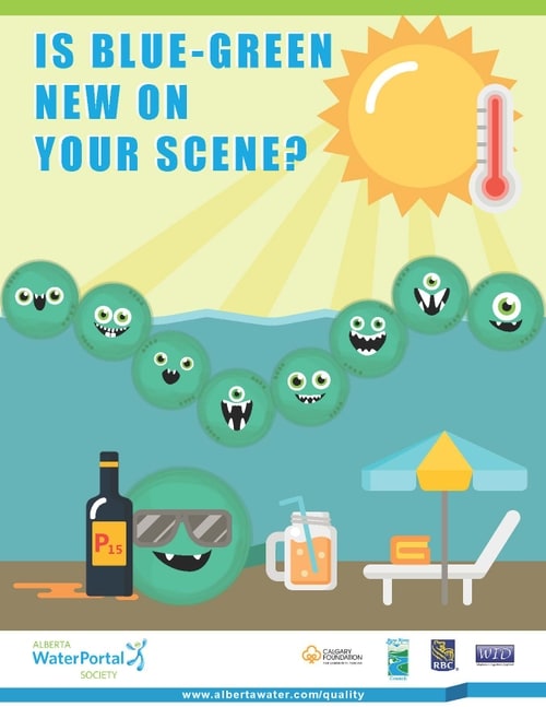 Image of a poster showing cartoon algae enjoying the sunshine