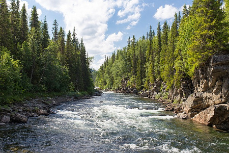 Wildfires source water Robinne river